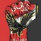 Atef M Tammam