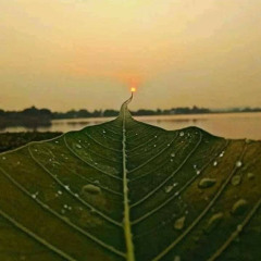 Ihtisham Khan