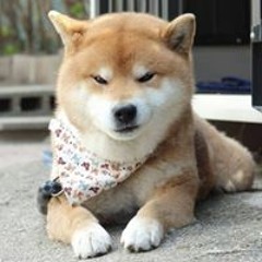 mon_cute