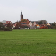 Leonardo Oliveira Marques