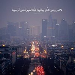 Ahmed Nashat