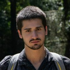 Alexandre Lopushanskyy