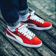 Toute La Musique Officiel