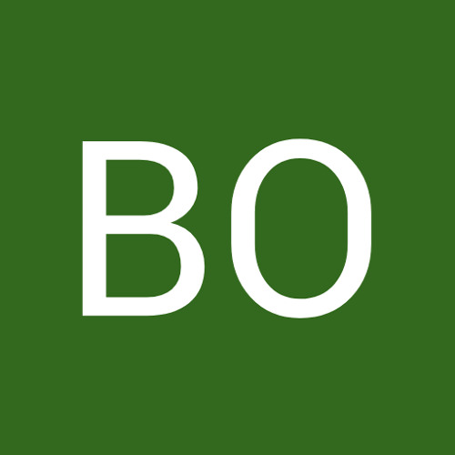 Bo’s avatar