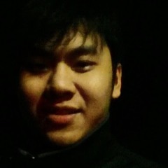 Hung Le Phu