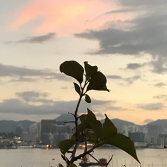 Seventeen17)MelindaTun18