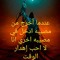 عمرو القصبي