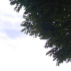 kokefu