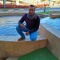 حمدي احمد
