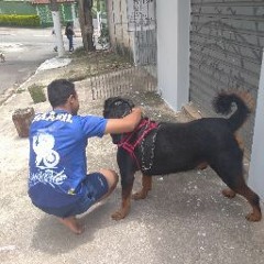 rodrigo