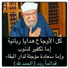 هشام علي