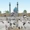 زَيْنَبْ مُحَمّدْ 🌻