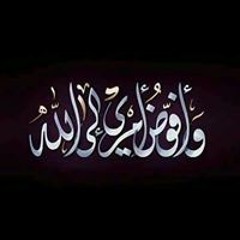 حمدي الجارحي