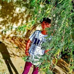 Ibrahimbawany
