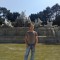 Dincer Cetin