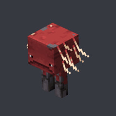Perhaps_spider