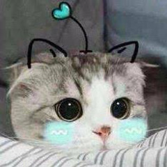 thuận nguyễn đức