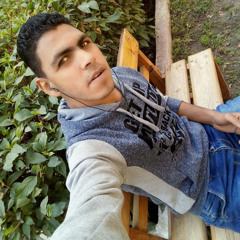 yasser arfa