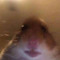 User 60562248