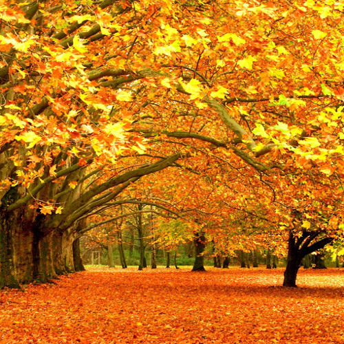 danh sách của tôi