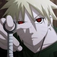 User 272337010
