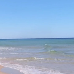 채널ナムル나물