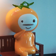 돌리랑 도트가 제일좋아 1시간