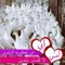 Ahlam Gmal