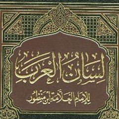 محمد فرغلي