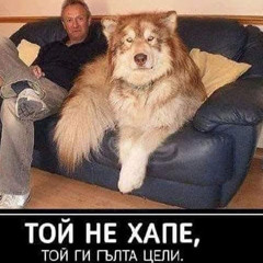 donqhose