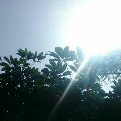 fatima_abu_rkab