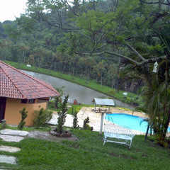 Reginalda Cáus