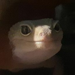 Just A Lizard