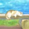 もるもる