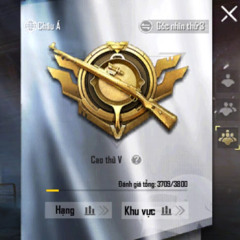 Hải Phùng Nè