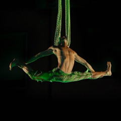 Alexandre Duarte