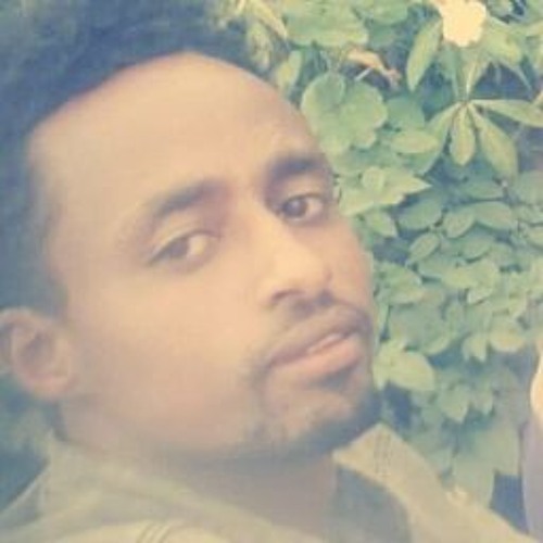 ኢትዮጵያ ለዘላለም ትኑር ጠላት ይውደም’s avatar