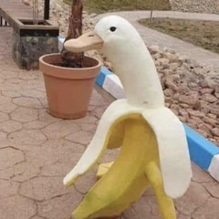 BananaDuk