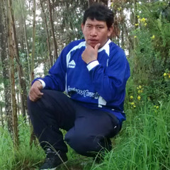 Jhan Carlos Vallejos
