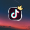 Tiktok Daily