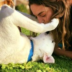 zohar.p256@gmail.com