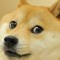DOGE