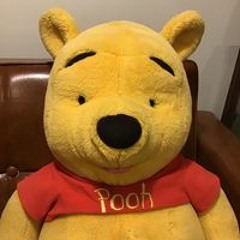 小野名月