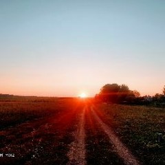 Andres Newman - Say You'll Never (Chill Pill Extended Mix).mp3