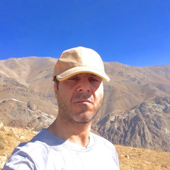 ali hosseini