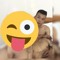 Dương Tuấn.Anh