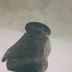 Lão Hắc