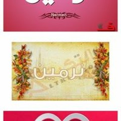 نرمين بدر