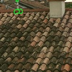 Tapparella Lampadella