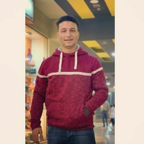 Mahmoud Abdelmoniem’s avatar